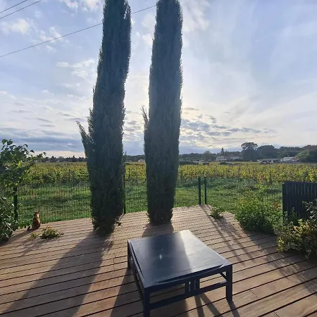 Au Coeur Des Vignes, Jacuzzi Et Sauna Prives Ferienhaus *