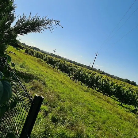 Au Coeur Des Vignes, Jacuzzi Et Sauna Prives Pujols-sur-Ciron